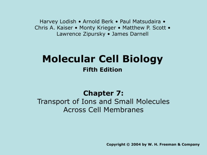 Essentials of biology 6th edition