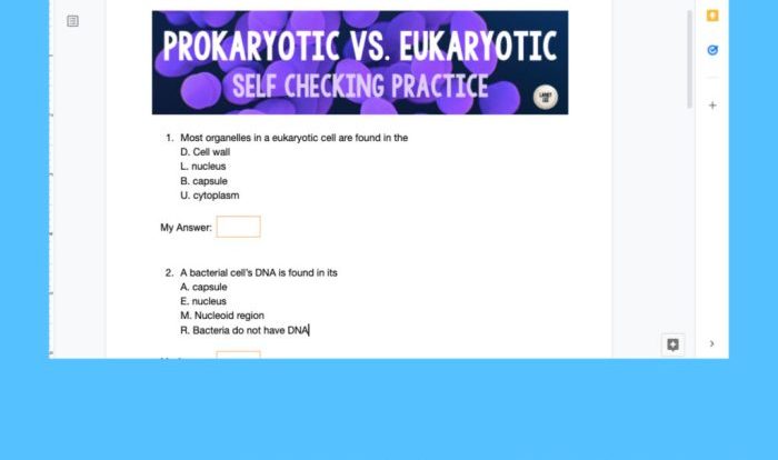 Worksheet prokaryotes bacteria vs answers eukaryotes chessmuseum prokaryote eukaryote related posts