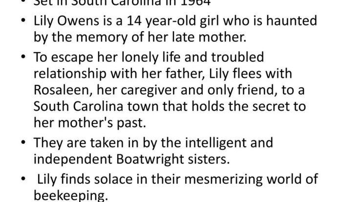 Bees secret life lily august dakota fanning buzz strong hive listening latifah queen sue kidd monk film style 2008 zach