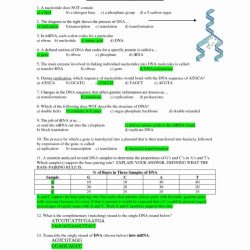 Dna replication worksheet answer key