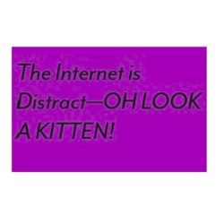 The internet is a distract-oh look a kitten