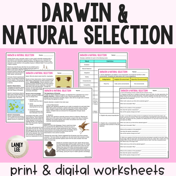 Natural selection and evolution worksheet answers