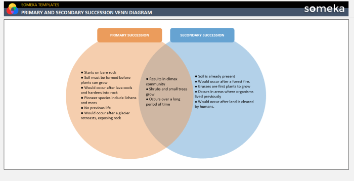 Succession secondary primary venn diagram ecological worksheet lesson vs