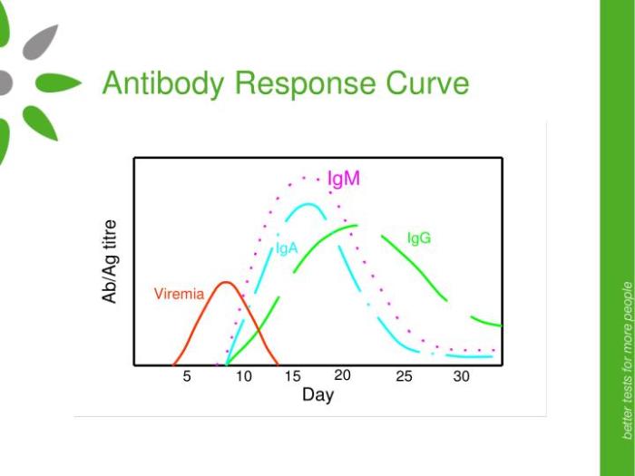 Immune adaptive antibodies memory antibody response graph defenses typical following relative