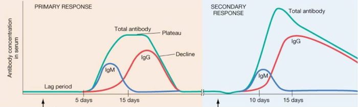 Immunodeficiencies are a result of all of the following except