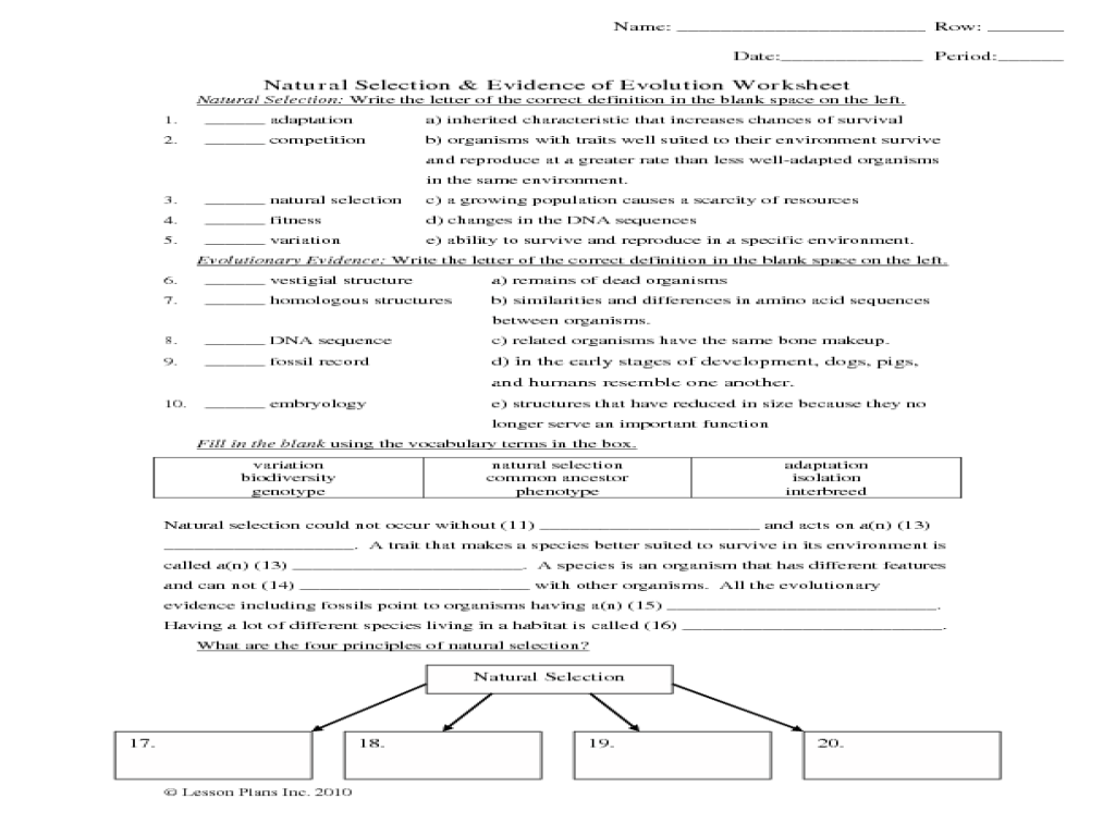 Natural selection and evolution worksheet answers