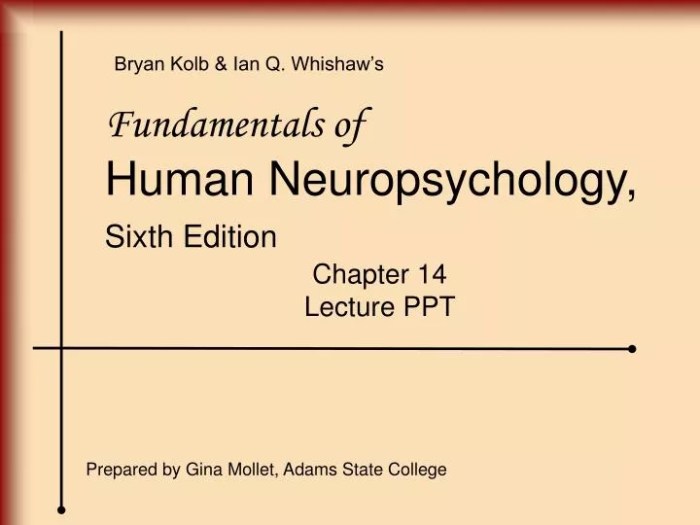 Fundamentals of human neuropsychology 8th edition