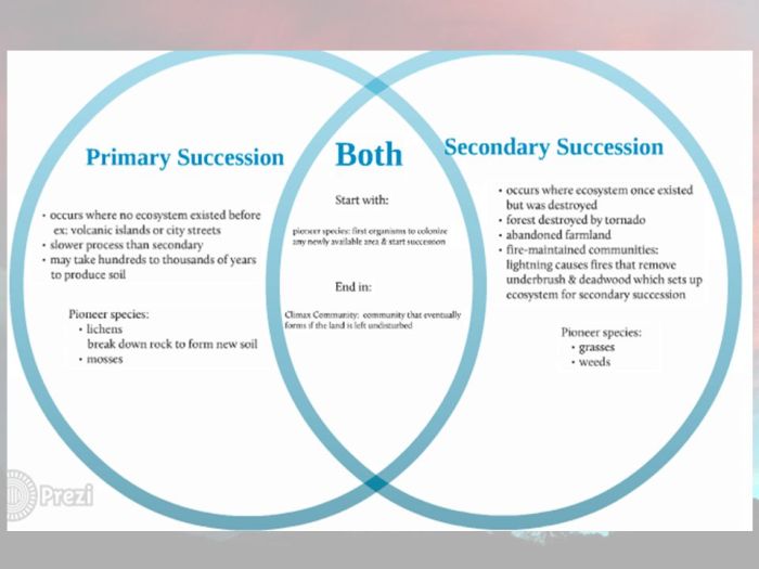 Succession venn