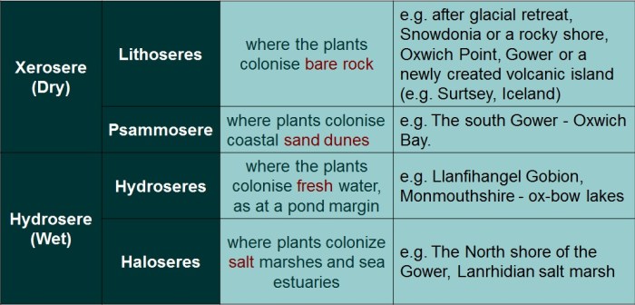 Venn diagram of primary and secondary succession